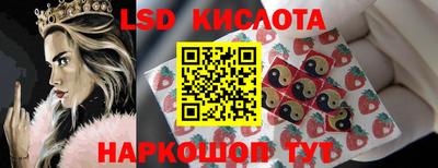 стафф Заводоуковск