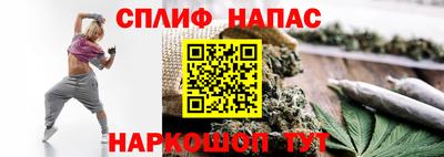 стафф Заводоуковск