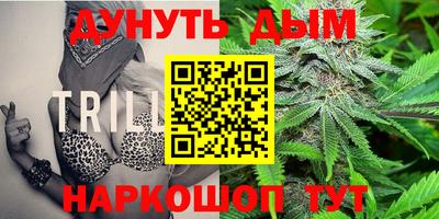 прущие грибы Заволжье