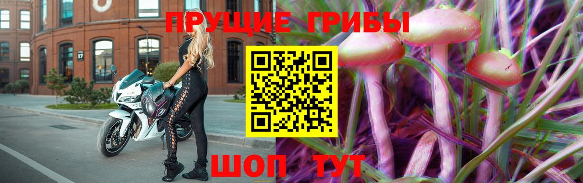 Курчатов  Псилоцибиновые грибы GOLDEN TEACHER  продажа наркотиков  Вход с VPN 
