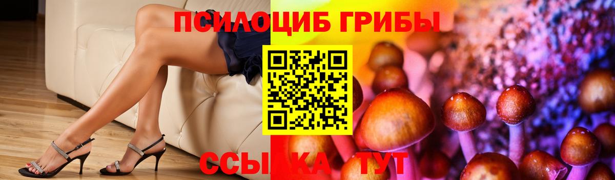 Псилоцибиновые грибы GOLDEN TEACHER Курчатов